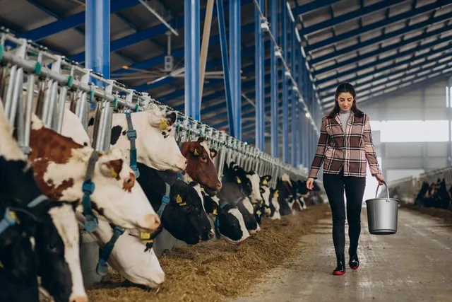 Dairy products