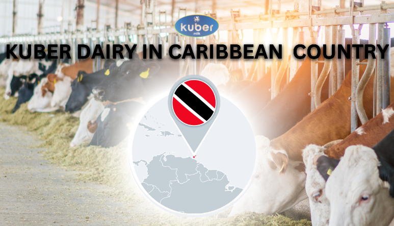 caribbean top dairy brand