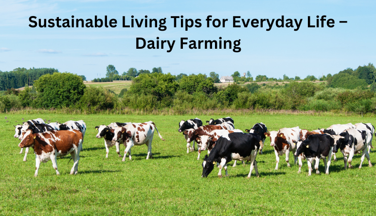 Dairy Farming