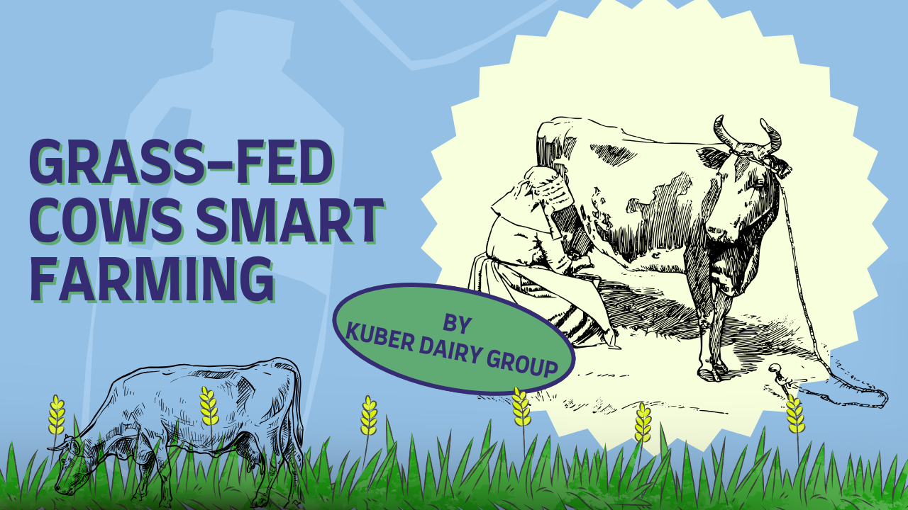 Grass-Fed Cows | kuber