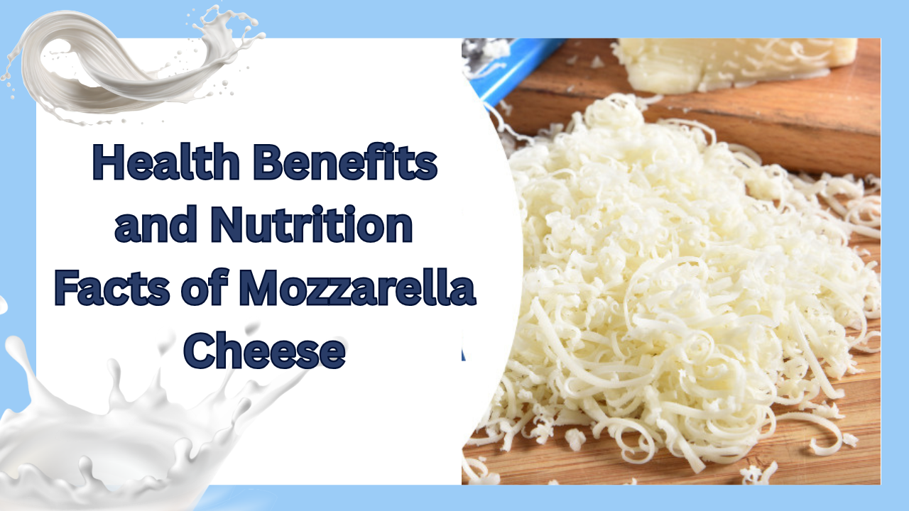 mozzarella cheese supplier