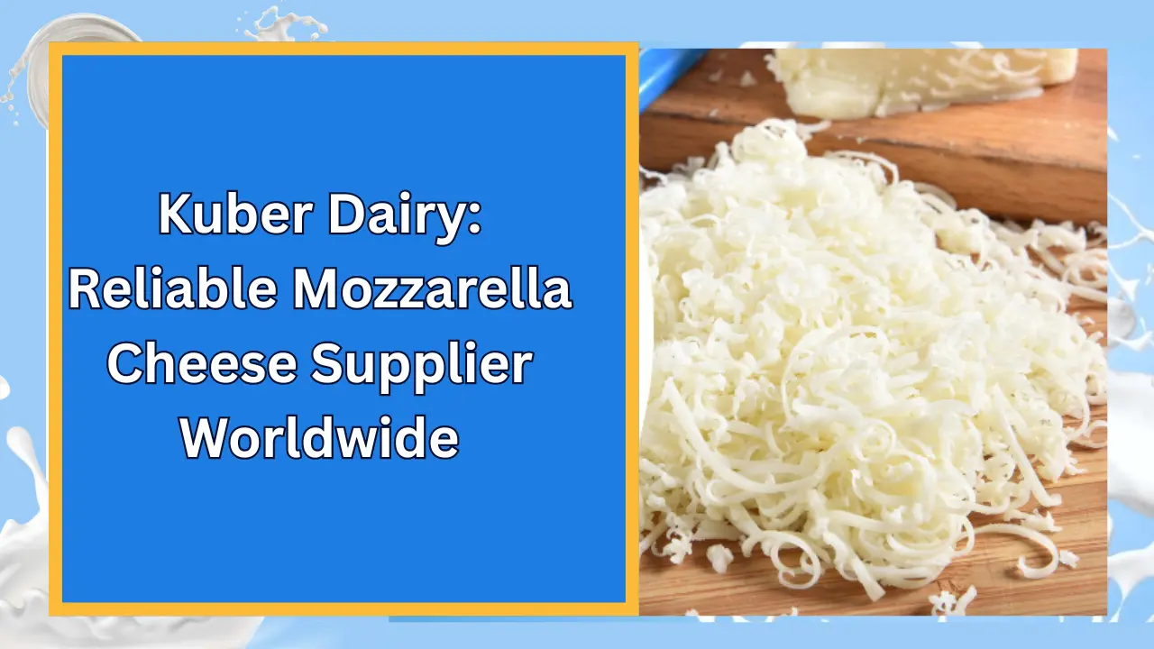 Mozzarella Cheese Supplier