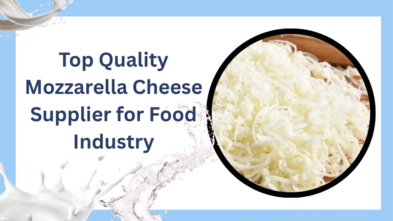 Mozzarella Cheese Supplier